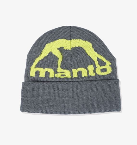 Шапка MANTO BIG LOGO серая