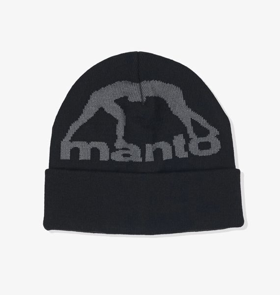 Шапка MANTO BIG LOGO серая