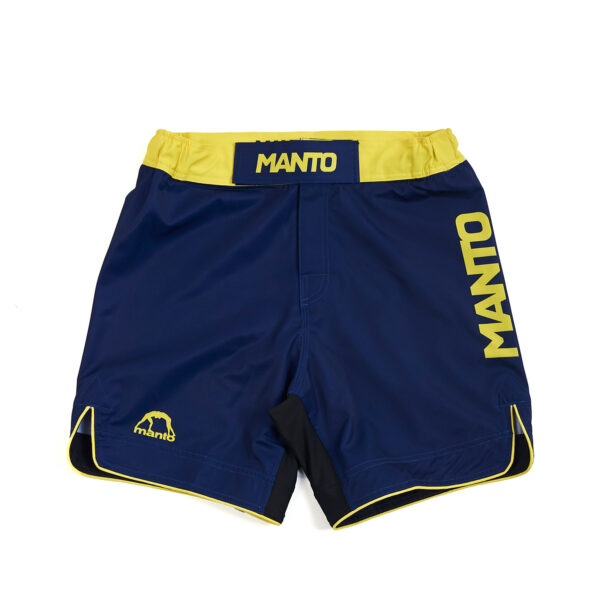 Шорты STRIPE 2.0 темно-синие