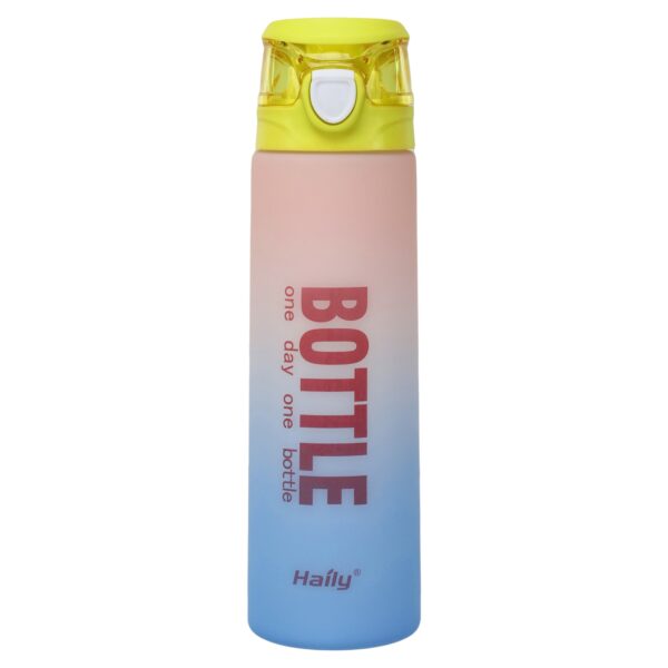 Бутылка для воды HAILY BOTTLE 1000мл