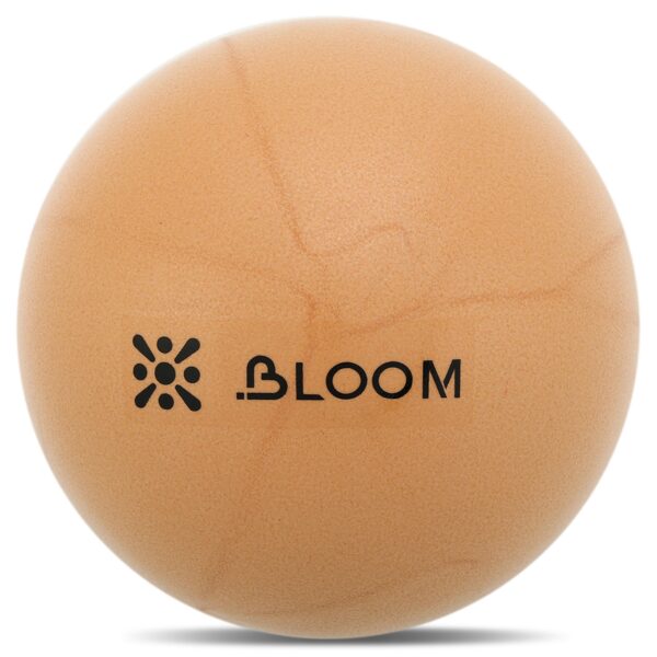 Мяч ø20см для пилатеса и йоги Mini Pilates Ball BLOOM коричневый