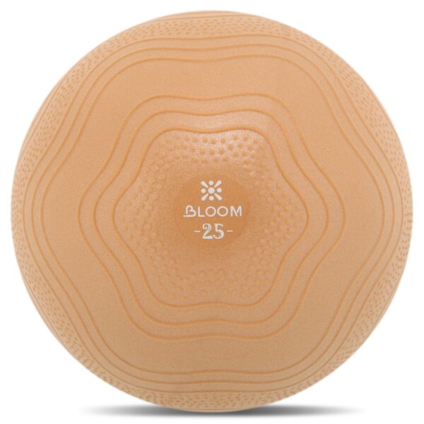 Мяч для пилатеса и йоги BLOOM MINI PILATES BALLl 25см коричневый