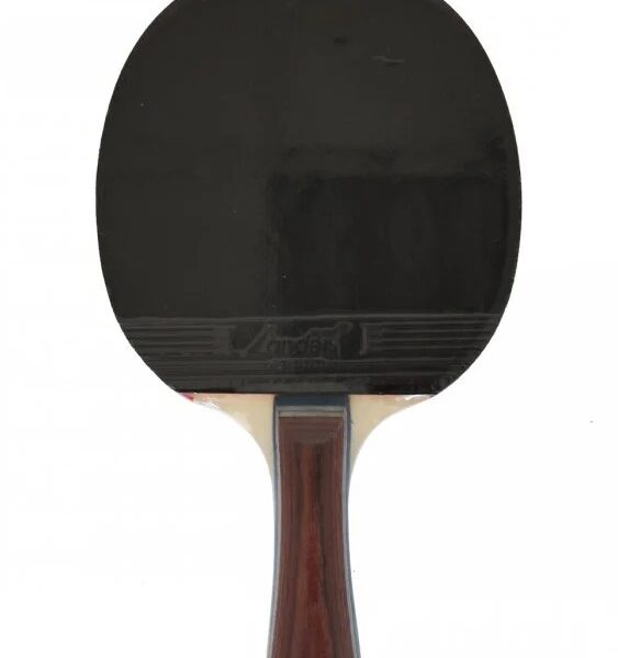 Ракетка для настольного тенниса с чехлом