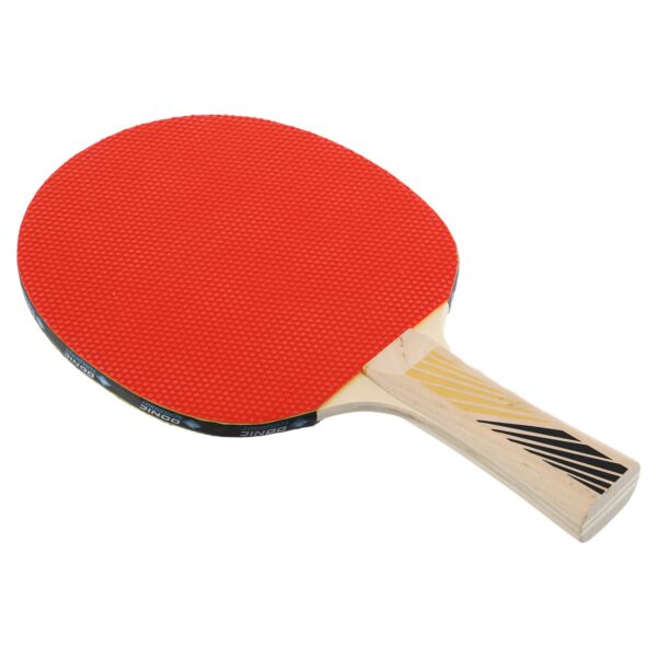Ракетка для настольного тенниса Donic