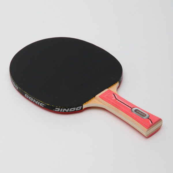 Ракетка для настольного тенниса Donic