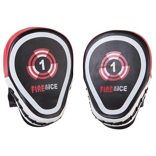 Лапа для единоборств